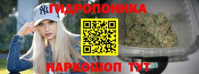 эйфоретик Владимир